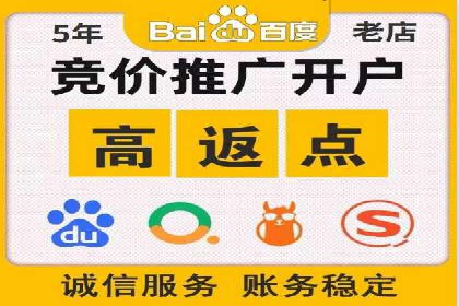 SEM竞价实战技巧，案例讲解与应用